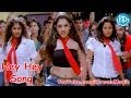 Hey Hey Song - Money Money More Money Songs ...