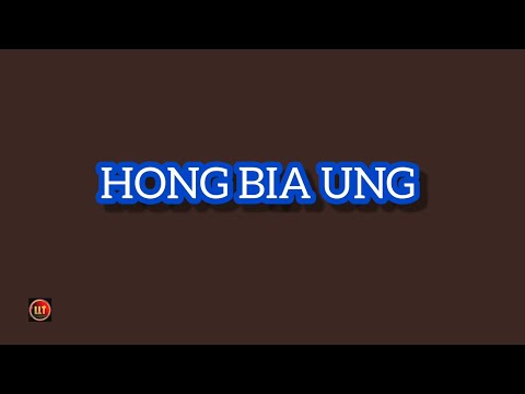 Hong Bia Ung (Lyrics) - Mung Tawng