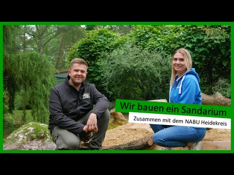 RWH on Stage 🎙 [06] - Wir bauen ein Sandarium