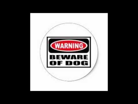 Shady Blaze G.O.D (GreenOvaDogz)