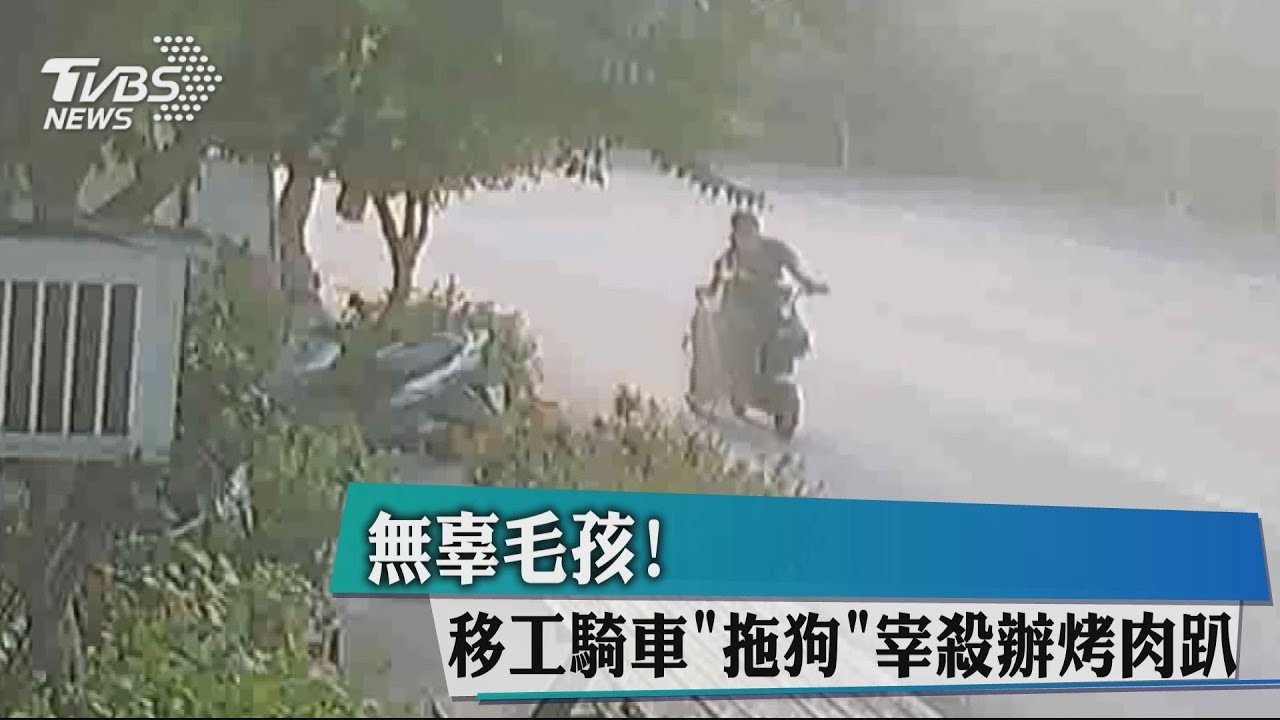 無辜毛孩!移工騎車「拖狗」 宰殺辦烤肉趴