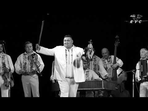 Ion Botnar - Hai la hora mare, Voloca, 2014