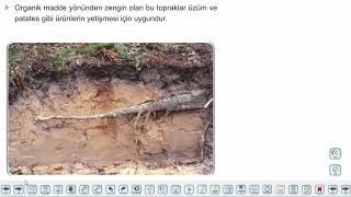 Eğitim Vadisi TYT Coğrafya 12.Föy Dış Kuvvetler Toprak Tipleri Konu Anlatım Videoları