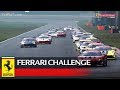 Ferrari Challenge Apac Shanghai 2018 Trofeo Pirelli