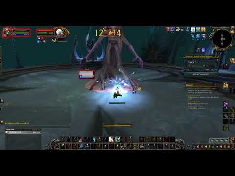 ShadowLands Torghast Layer 6 - Elder Longbranch - Disc GOD Mode