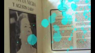 Estás Equivocado Lyrics English Translation