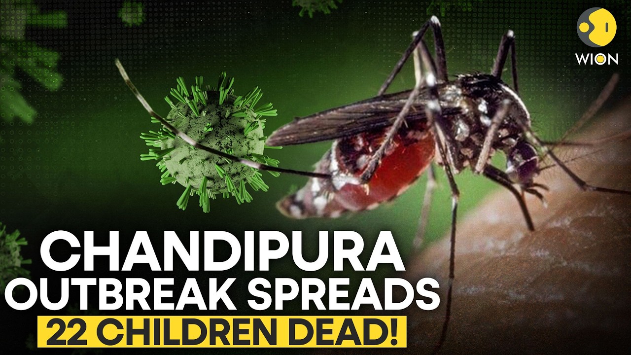 Chandipura Virus Outbreak In Gujarat: 22 Children Dead, 35 Infected | Symptoms Explained! | WION
