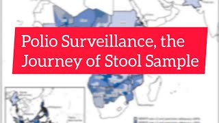 Polio Surveillance I Journey of Stool Sample | Presentation @SlideShare_PPT