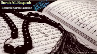 Surah Al-Baqarah (Fast Recitation) Quick   Recitation – Mishary Rashid Alafasy (سورة البقرة) Ep199