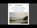 Variations on an Original Theme, Op. 82, No. 2, D. 968a