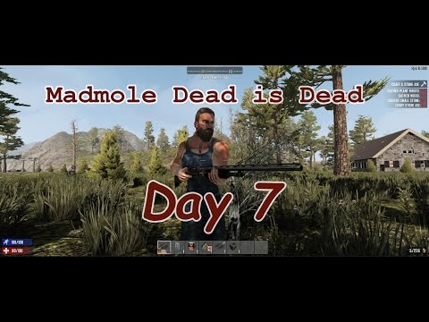 Dead is Dead Alpha 15 Day 7