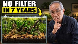 How To Make Your First Self-Sustaining Aquarium! (No Filter, No Pump)