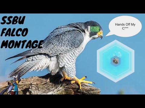 PROUD SPACE ACE (A Smash Bros. Ultimate Falco Montage)