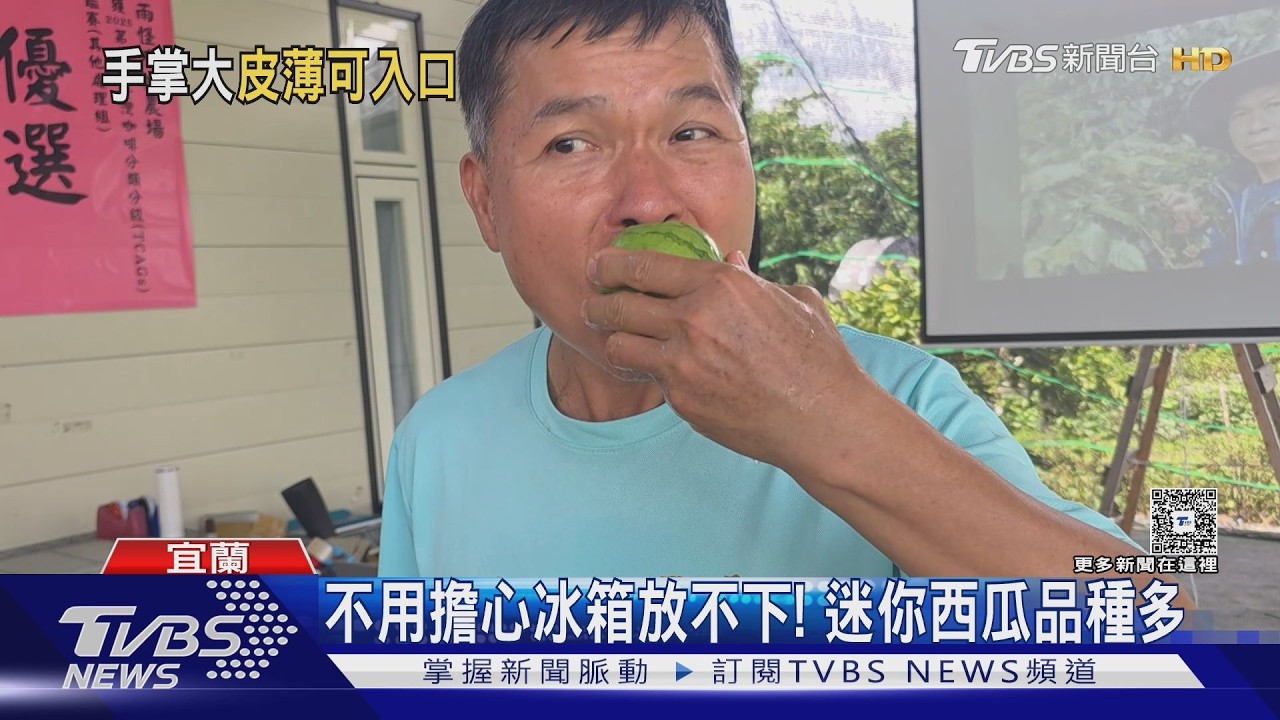 影音／迷你西瓜「連皮都能吃」！一顆一餐免塞冰箱　小家庭、單身族搶買
