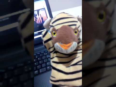 LUIS GUSTAVO ROLDI 8A