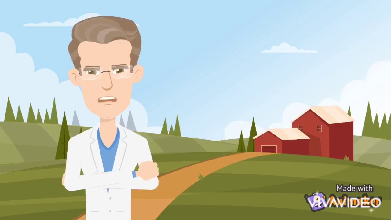 Vídeo animado sobre El árbol de la ciencia, de Pío Baroja