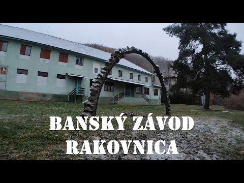 1. fotografia fotogalérie Videogaléria