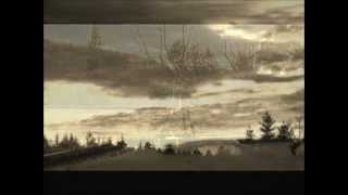 Nick Cave/Grinderman - Man in the Moon (video)