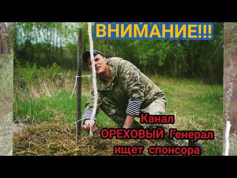 關於堅果Канал ОРЕХОВЫЙ Генерал ищет спонсора. Поддежи проект!!!