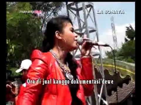 LA Sonata - Kakanda - Neo Sari