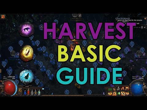 [PoE 3.11] Harvest Basic Guide