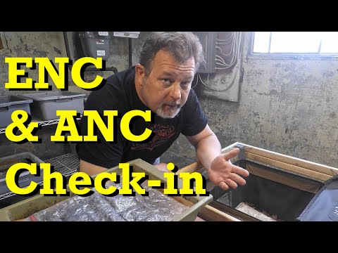 Feeding the European nightcrawlers & check-in on the Africans - vermicomposting