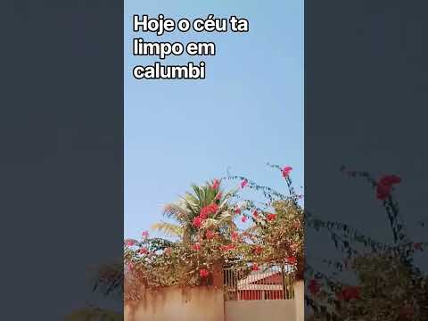 8 de setembro de 2026