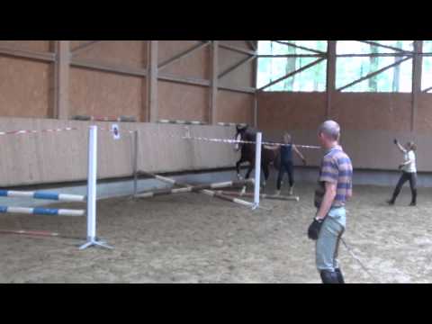 Caspari von Worrenberg - Eurocommerce Berlin x Carpaccio - Stamm 3558