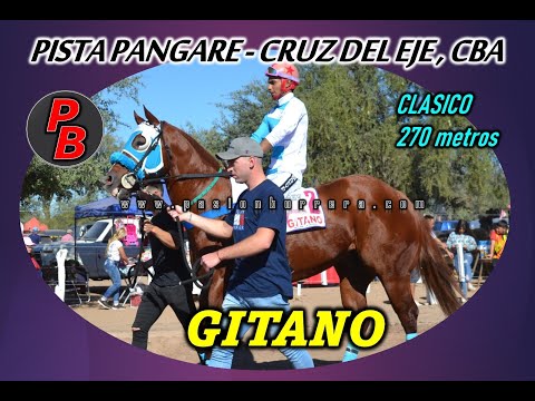 GITANO: PISTA PANGARE - CRUZ DEL EJE, CBA (14-05-23)