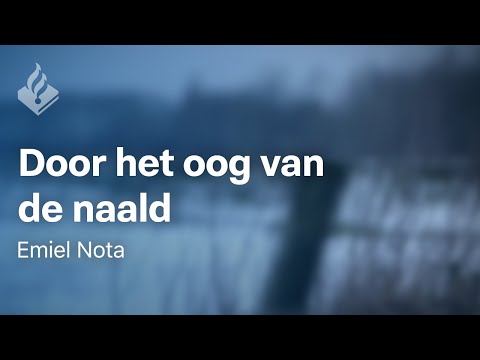 Door het oog van de naald - door Emiel Nota  - Echte Politieverhalen