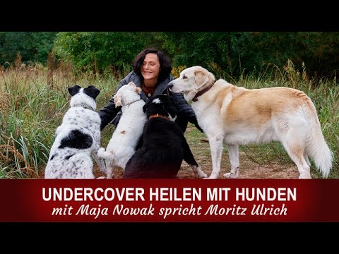 UNDERCOVER HEILEN MIT HUNDEN  - Das Gespräch mit Maja Nowak führt Moritz Ulrich