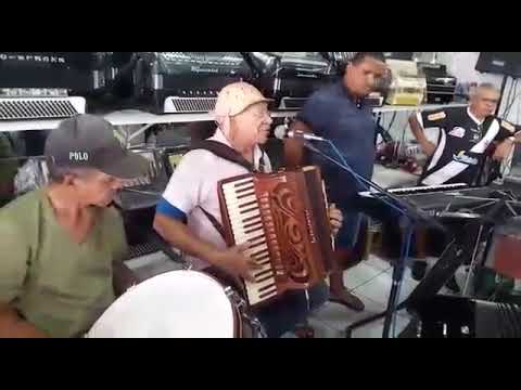 Tributo a zé marcolino casa dos artistas luis rosa