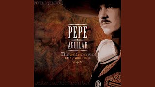 El Palo Verde Lyrics English Translation