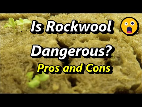 , title : 'Is Rockwool Safe to use in Hydroponics: The Pros and Cons of Using Rockwool to Start Seeds'