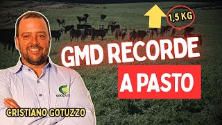 Manejo de pastagem: estratégia para GMD recorde na pecuária de corte