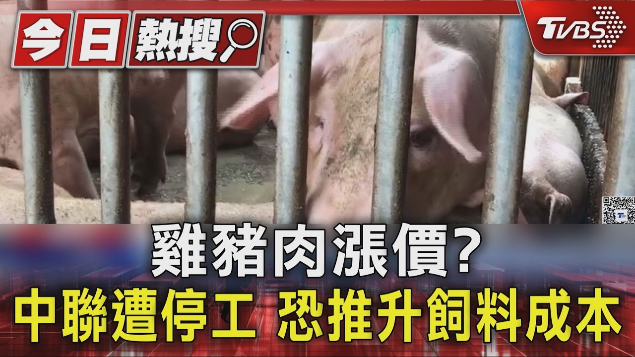 影音/雞豬肉漲價?中聯遭停工 恐推升飼料成本