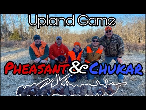 Pheasant and Chukar Hunt (Put & Take)