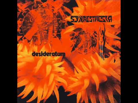 Synaesthesia -- Surface System