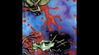 SKINNY PUPPY - Rash Reflection