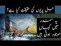 Reality Of Mermaids Explained | Urdu / Hindi