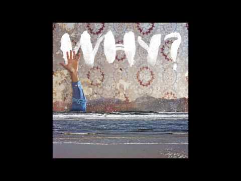 WHY? - Proactive Evolution (Official Audio)