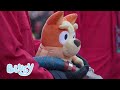 Bluey At Macy S 2024 Inflation Day With Myf Warhurst Aunt Trixie In Real Life Bluey