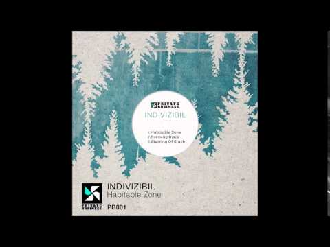 Indivizibil - Forming Discs (Original Mix) [Private Business.]