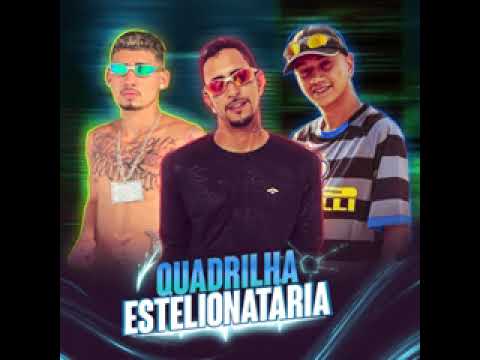 QUADRILHA ESTELIONATARIA #bregafunk