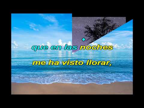 Hay amores (Karaoke)