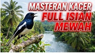 Download lagu Full Bongkar Isian mewah Kacer Juara: Cililin, Kenari, Lovebird, & Church mp3