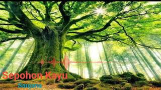 Download lagu Sepohon Kayu : Saujana | Nasyid mp3