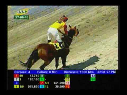 Resumen Sábado, 27 de Agosto de 2016 - La Rinconada