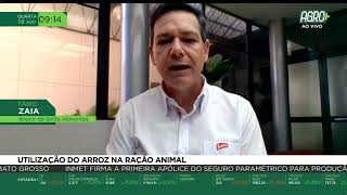 Miniatura do vídeo