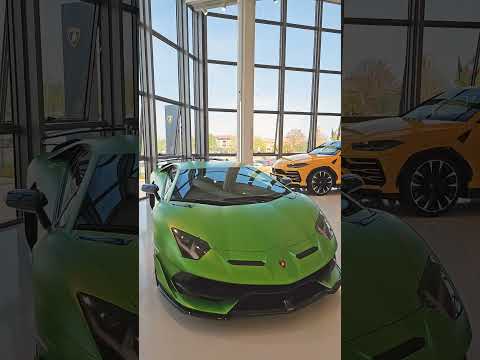 람보르기니 본사 이탈리아 ???????? 이 차들 처음보지..?! #lamborghini #revuelto